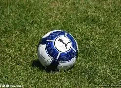 揭秘彩界,黑白萌猪奇,招出击,江苏体彩,江苏体彩网,江苏体彩网官网,体育彩票,体彩大乐透,竞彩足球,体彩公益