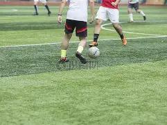 揭秘,福彩,号码独家分,江苏体彩,江苏体彩网,江苏体彩网官网,体育彩票,体彩大乐透,竞彩足球,体彩公益