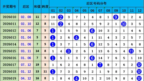2026021双色球期号专家推荐杀红技巧，双色球玩法解析