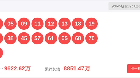 055期大乐透专家质合分析推荐，前区十码及定位胆杀号解析